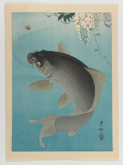 Carp Beneath Wisteria by Ohara Koson